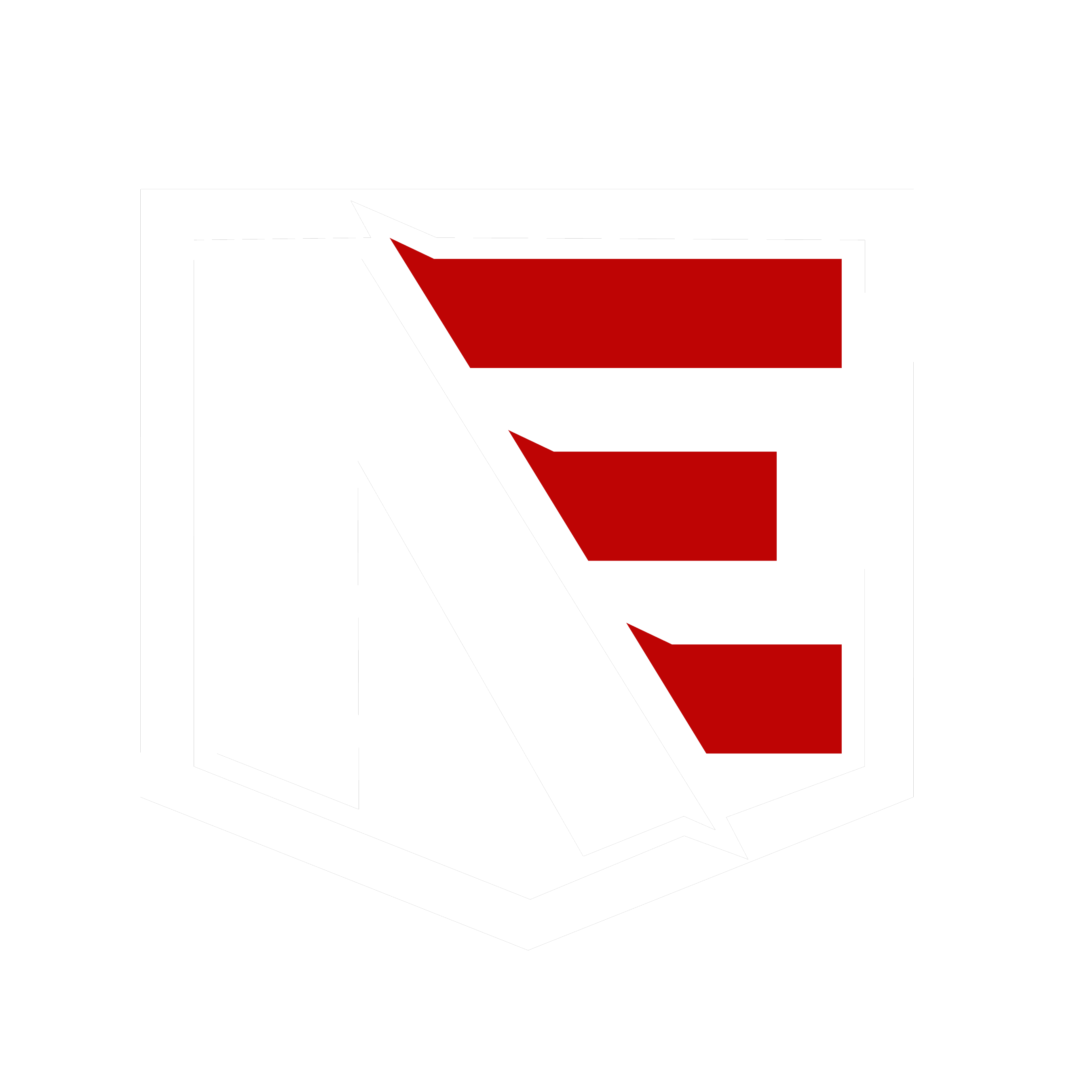 NebraskaEsportsLogo